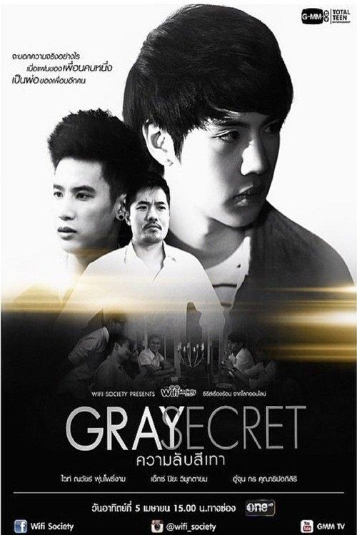 Wifi Society: Gray Secret backdrop