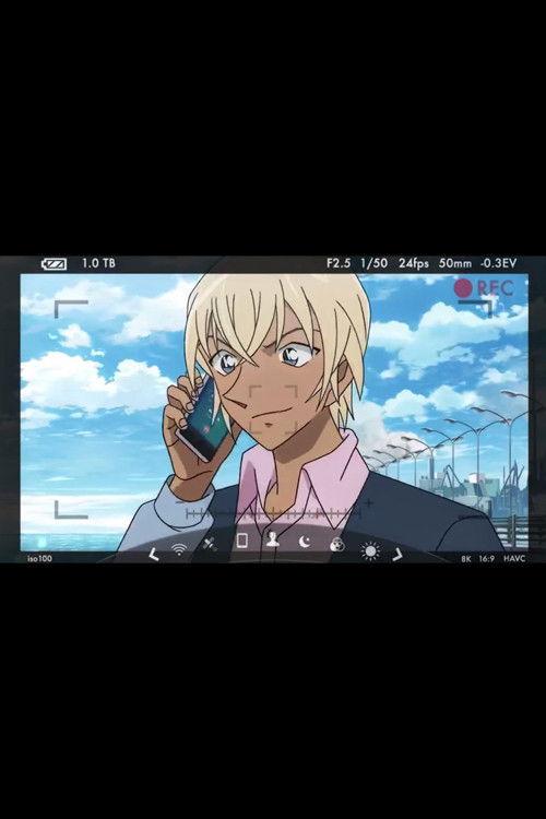 Detective Conan: Amuro Secret Call backdrop