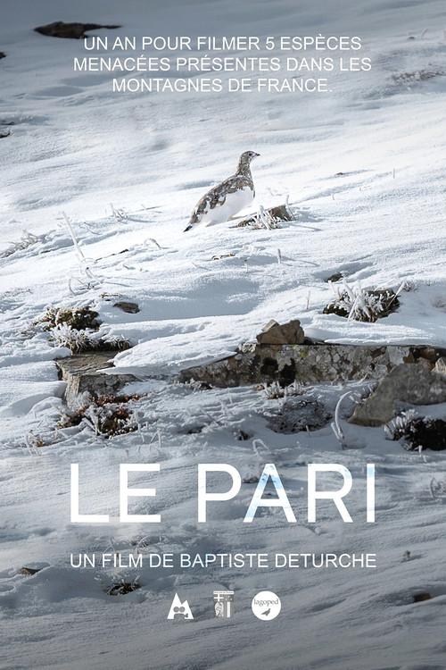 Le pari backdrop