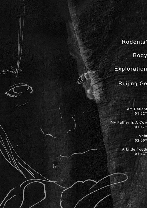Rodents' Body Exploration backdrop