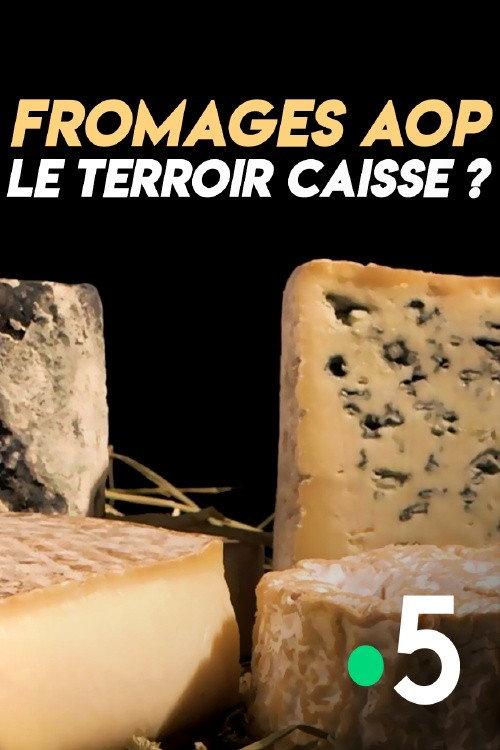 Fromages AOP : le terroir caisse ? backdrop