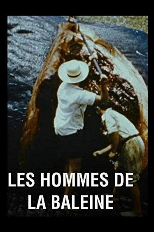 Les hommes de la baleine backdrop
