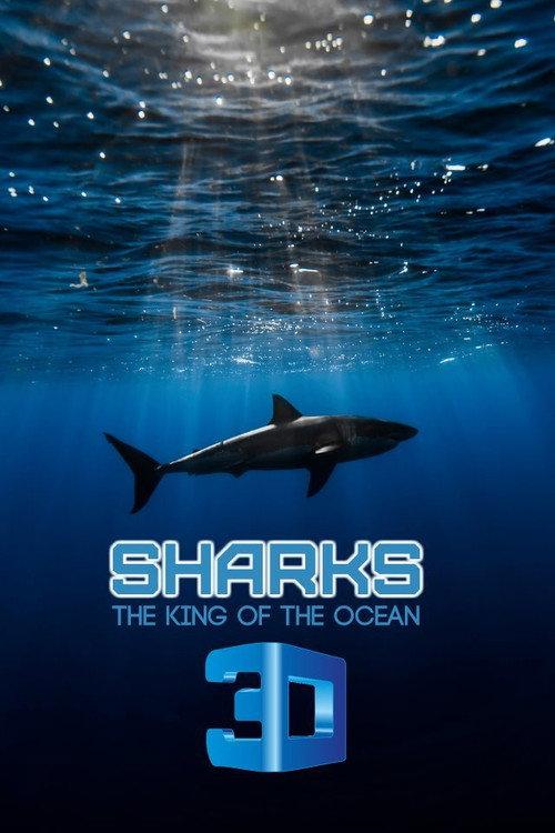 Sharks: Kings of the Ocean backdrop