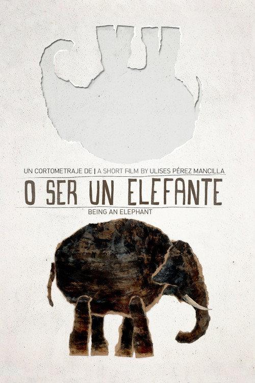 Being an Elephant backdrop