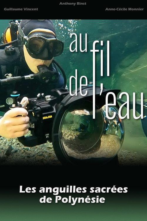 Au fil de l'eau, les anguilles sacrées de Polynésie backdrop