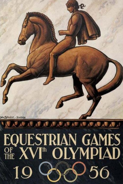 The Horse in Focus backdrop