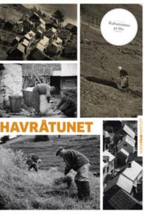Havråtunet backdrop