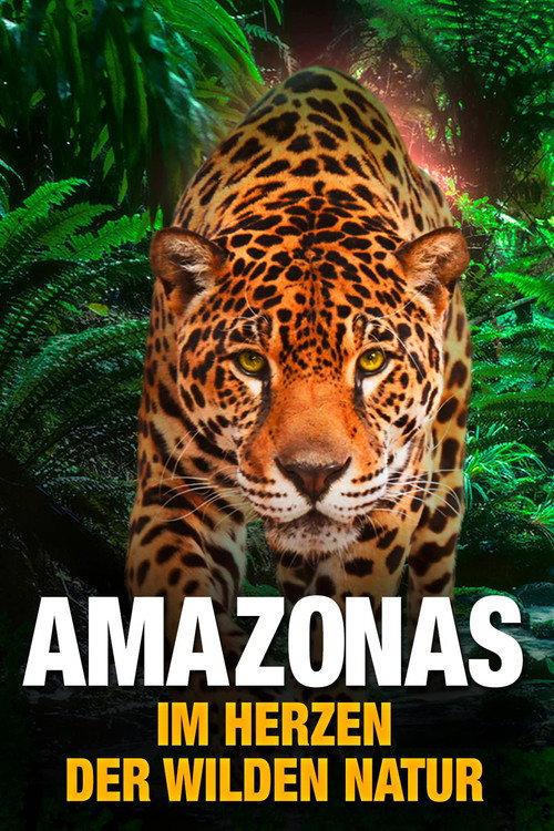 AMAZON 3D backdrop