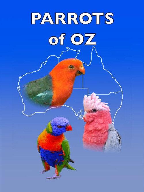 Parrots of Oz backdrop