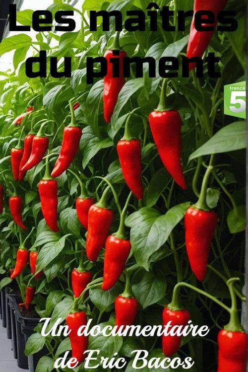 Les maîtres du piment backdrop