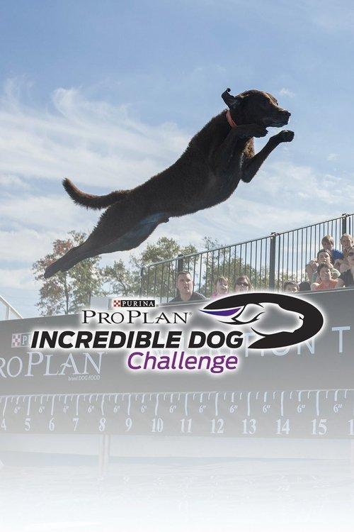 The Incredible Dog Challenge Tour backdrop
