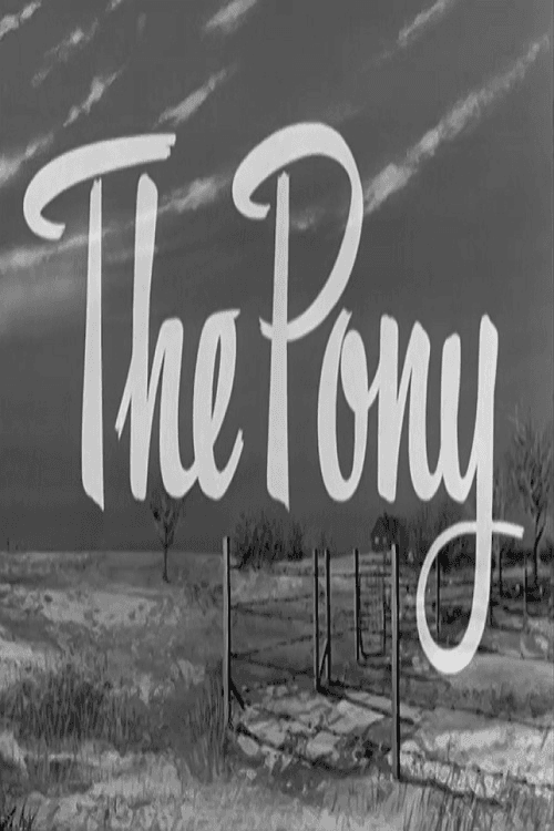 The Pony backdrop