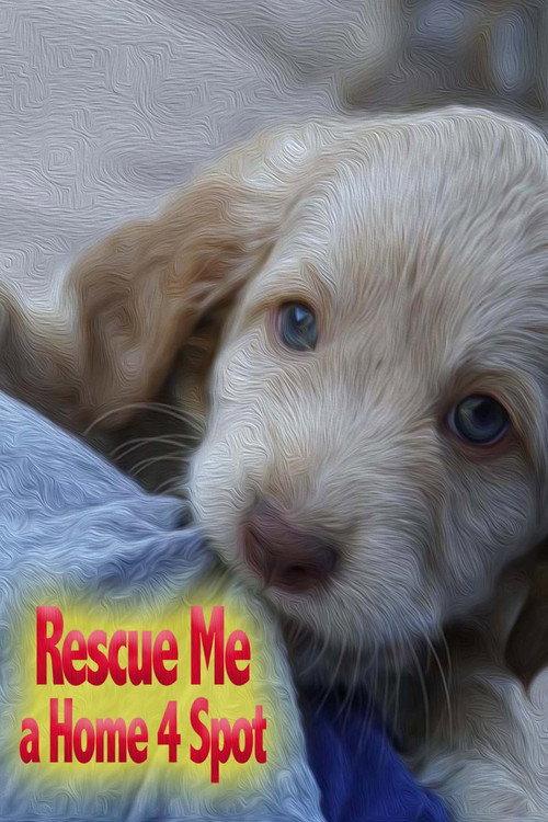 Rescue Me: A Home 4 Spot backdrop