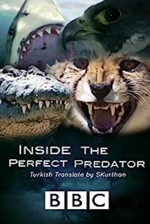 Inside the Perfect Predator backdrop