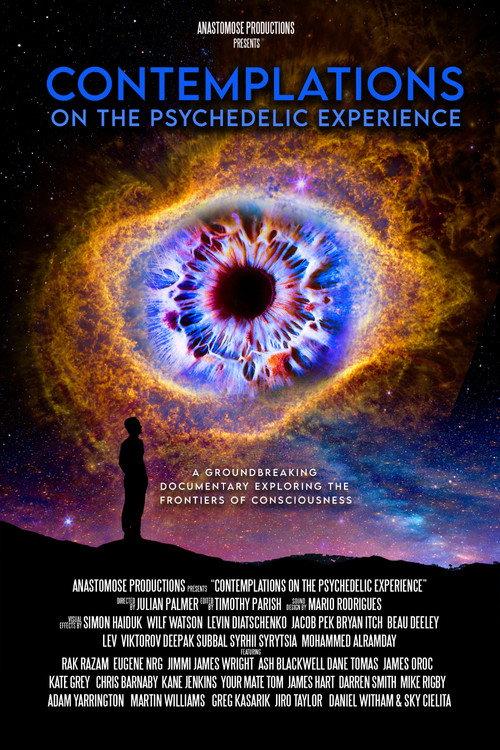 Contemplations: On the Psychedelic Experience backdrop