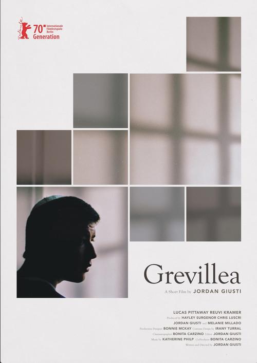 Grevillea backdrop