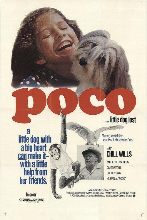 Poco… Little Dog Lost backdrop
