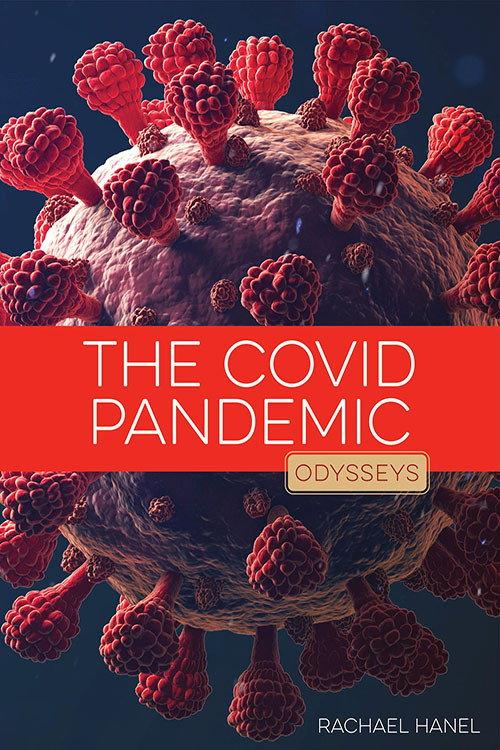 The Coronavirus Epidemic backdrop