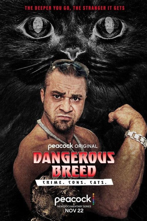 Dangerous Breed: Crime. Cons. Cats. backdrop
