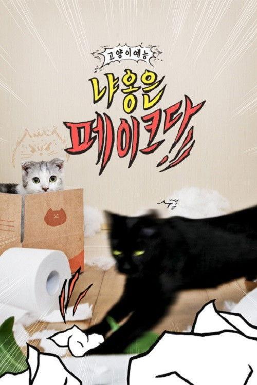 Decoding Meow backdrop