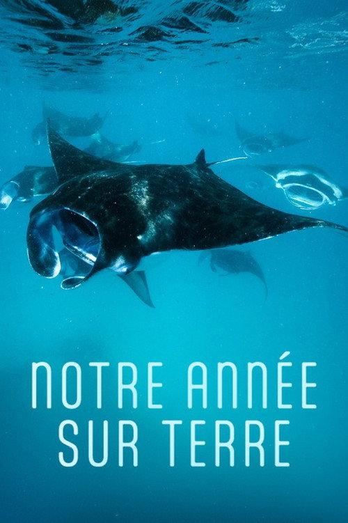 Notre année sur Terre backdrop
