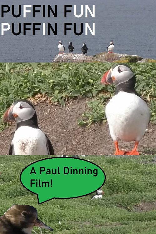 Puffin Fun backdrop