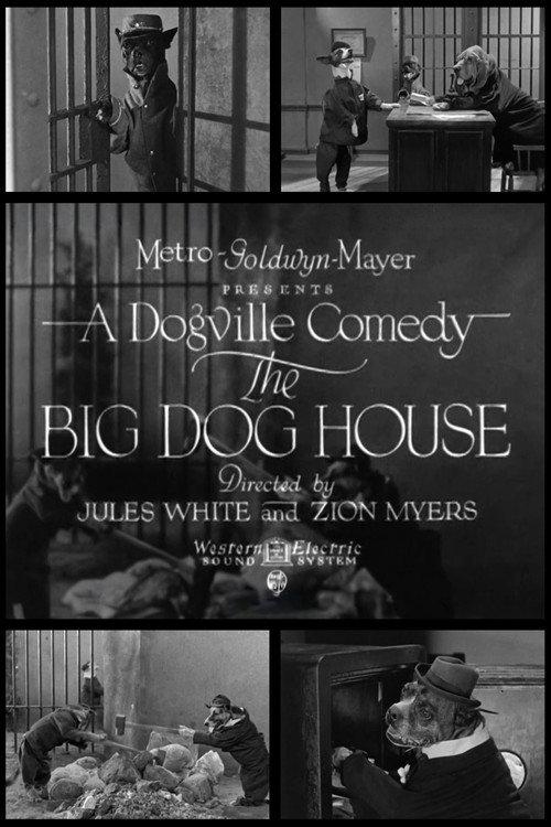 The Big Dog House backdrop