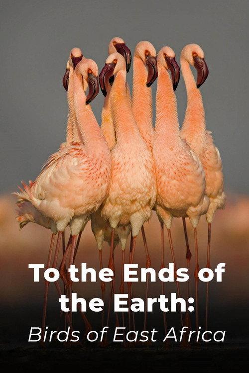 To the Ends of the Earth: Birds of East Africa backdrop