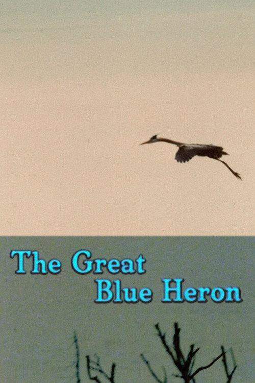 The Great Blue Heron backdrop