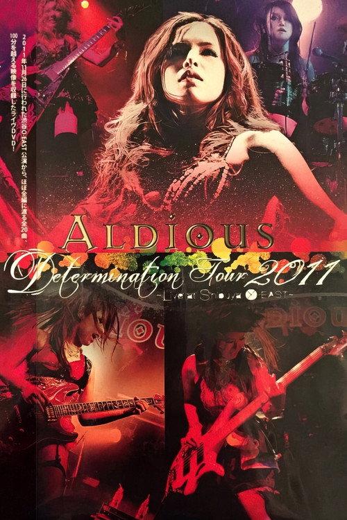 Aldious - Determination Tour 2011 backdrop