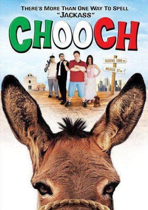 Chooch backdrop