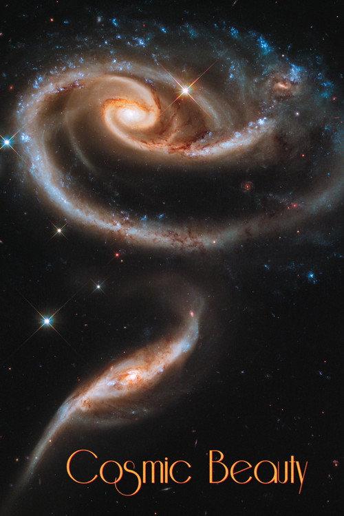 Cosmic Beauty backdrop