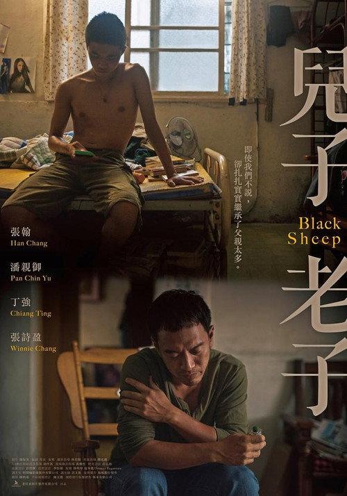 Black Sheep backdrop