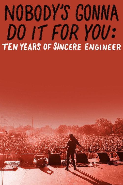 Nobody’s Gonna Do It For You: Ten Years of Sincere Engineer backdrop
