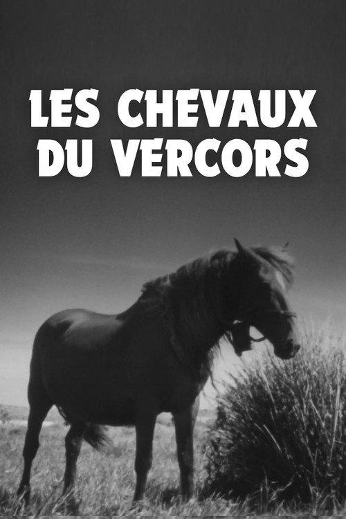 Les Chevaux du Vercors backdrop