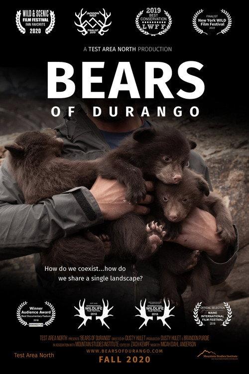 Bears of Durango backdrop