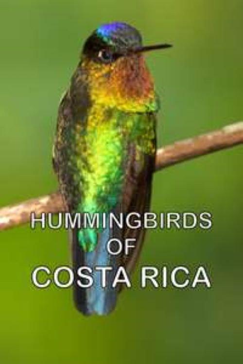 Hummingbirds of Costa Rica backdrop