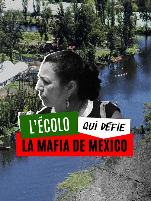 L'écolo qui défie la mafia de Mexico backdrop