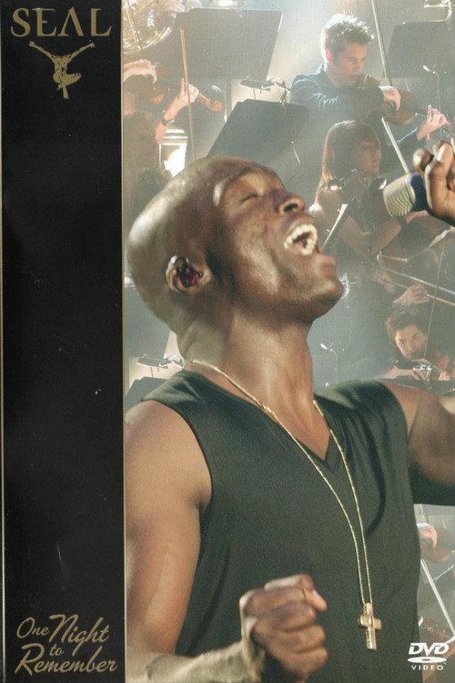 Seal: One Night To Remember backdrop