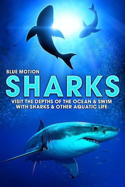 Blue Motion: Rulers of the Oceans backdrop