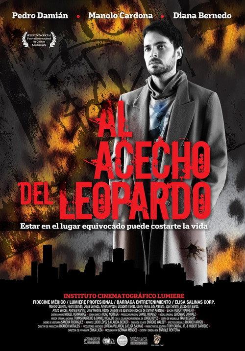 Al acecho del leopardo backdrop