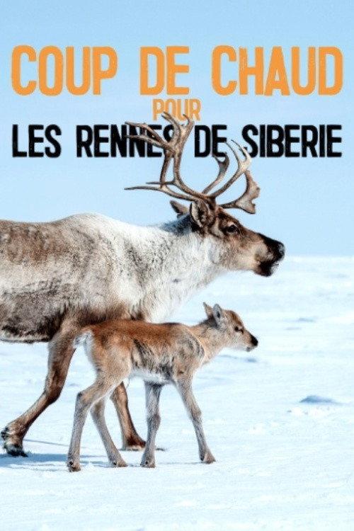 Heatstroke for the Siberian Reindeer backdrop