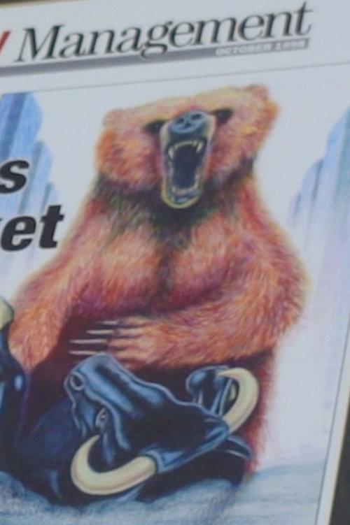 Bear Overtakes Bull Market backdrop