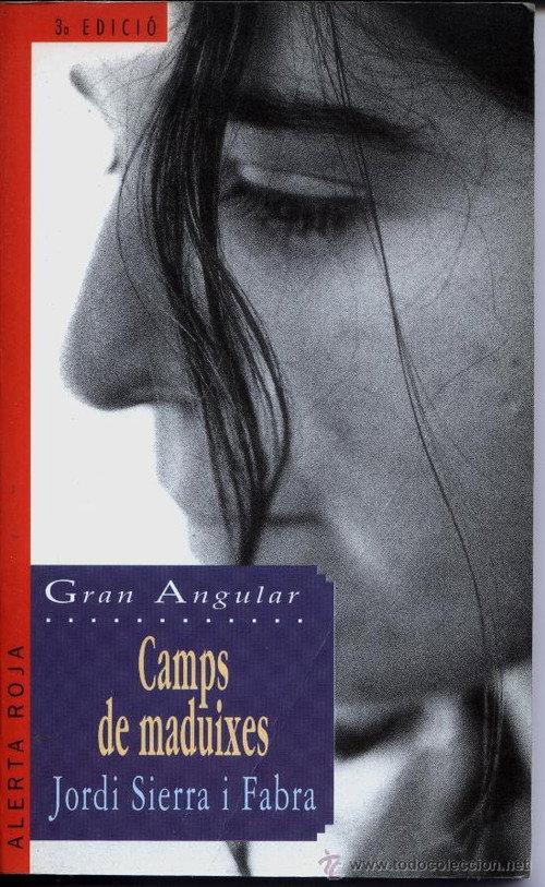 Camps de maduixes backdrop