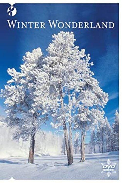 Winter Wonderland backdrop