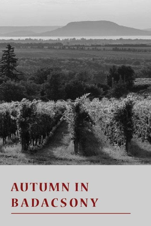 Autumn in Badacsony backdrop