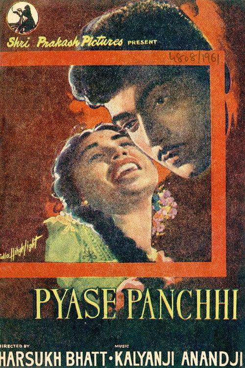 Pyase Panchhi backdrop