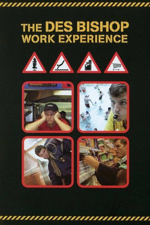 The Des Bishop Work Experience backdrop