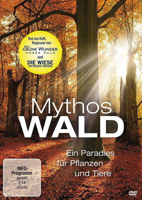 Mythos Wald backdrop