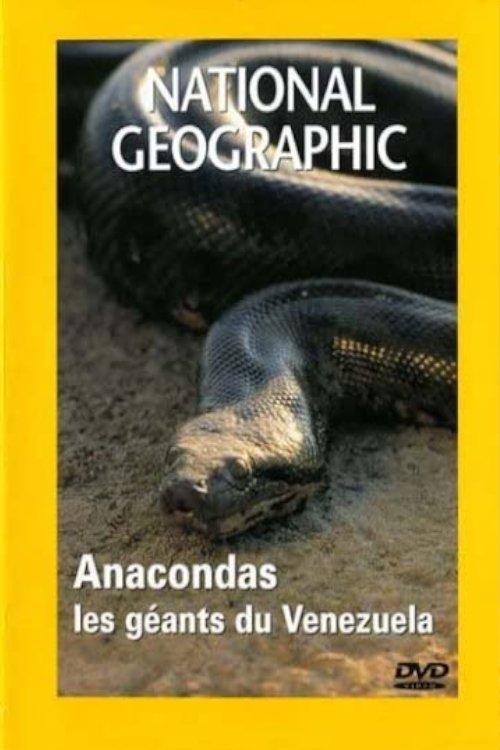 National Geographic : Anacondas, les géants du Vénézuela backdrop